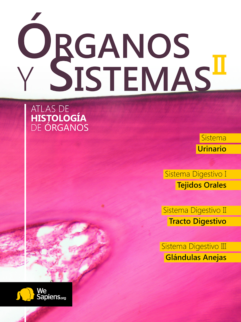 Atlas Interactivo Histología 3 Screen 2