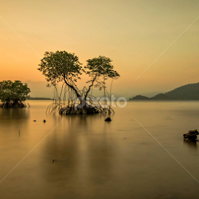 Both of us by Alfi Nurulhida - Landscapes Sunsets & Sunrises