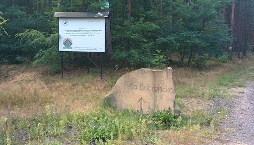Kamien Pętla Bobrowbicka