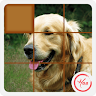 Puzzle Pet Dog Game icon