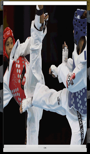 Taekwondo Games