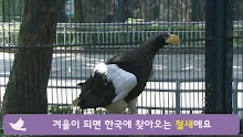 쥬니어네이버 - Jr.Naver