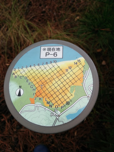 鳥取砂丘 P-6