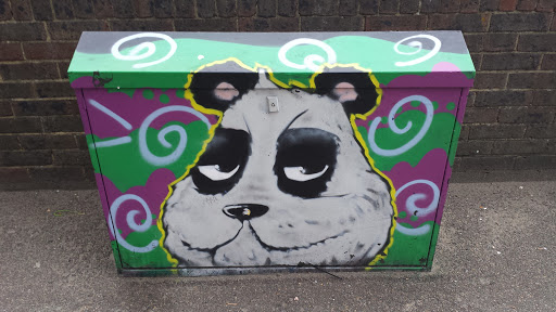 Panda Painting on a Box