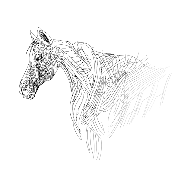 Dead horse » drawings » SketchPort