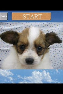 How to install puzzle[Dog] 1.0.3.2 apk for laptop