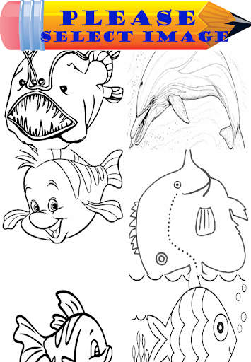 Fish Coloring Book