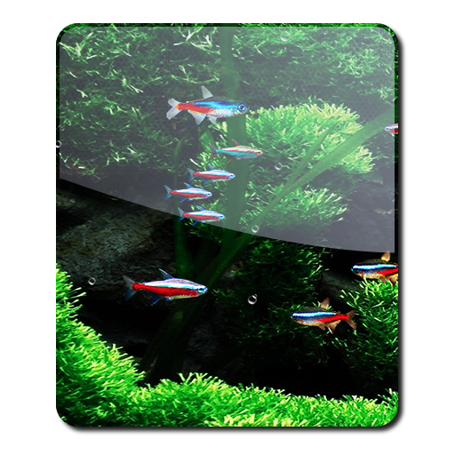 Aquarium HD Free Fish LWP 個人化 App LOGO-APP開箱王