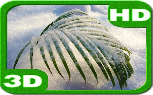 Snowy Christmas Tender Palm - náhled