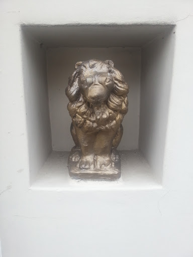 Leeuwenvoet Lion