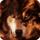 Wolf HD Live Wallpaper Animals APK