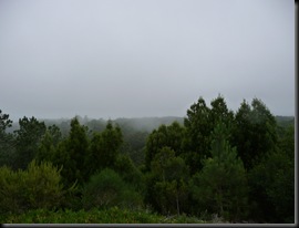 P1000140
