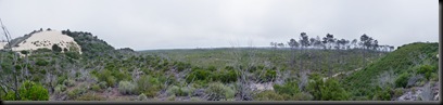 Panorama 1