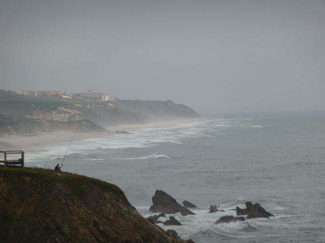 [P1000482[7].jpg]