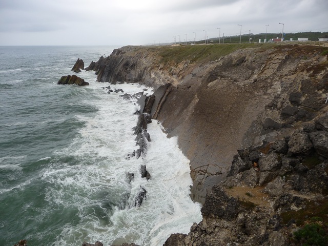 [P1000489[3].jpg]