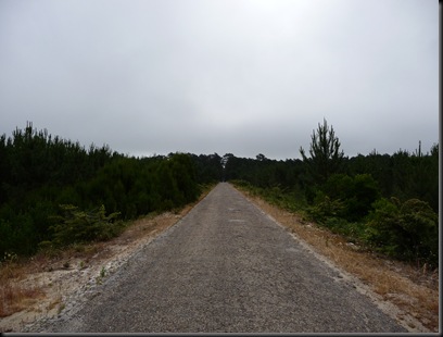 P1000098