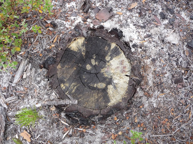 [P10002233.jpg]