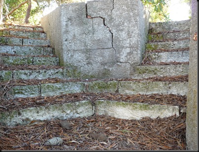P1010506