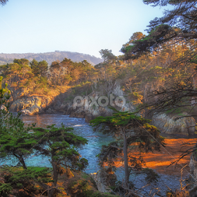 Pt. Lobos by Dan Herman - Landscapes Mountains & Hills