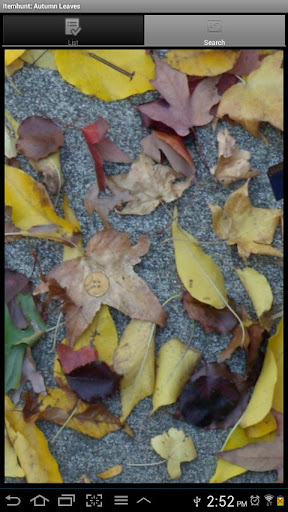 Itemhunt: Autumn Leaves
