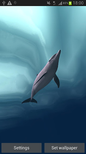 海豚浸泡3D