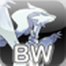 Pokemon Black and White icon