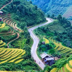 The Road by Dong Bui - Uncategorized All Uncategorized