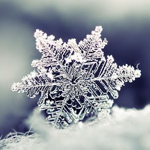 Snowflake wallpaper.apk 1.0