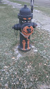 Chocolate lab hydrant