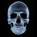 Skull 3D Live Wallpaper logo