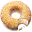 Food, Symptoms & Allergy Diary Download on Windows
