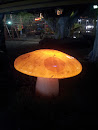 Shiny Mushroom at TRR Surabaya