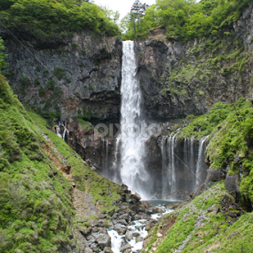 Nikko, Japan by Bharath Kumar - Landscapes Forests