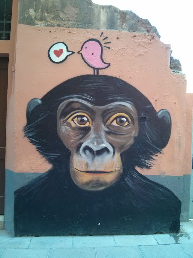 Ximpanzé
