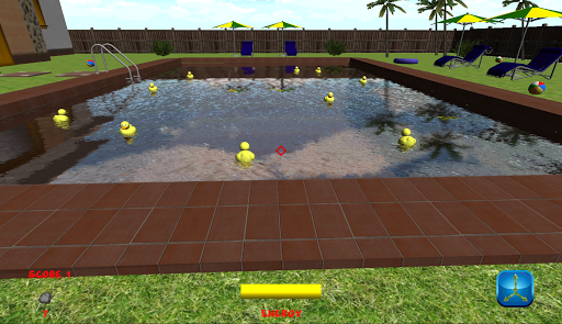 Pool Duck Hunt 3D