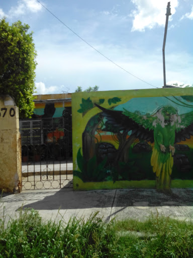 Mural Aves Exoticas