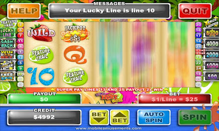 Super Fruit Slots poster 5