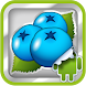DVR:Bumper - Blueberry