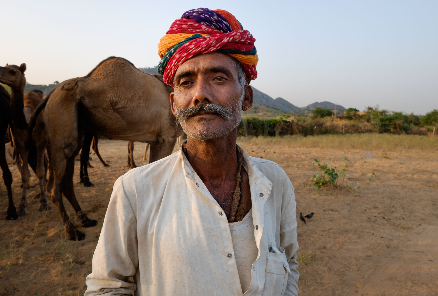 Camel Trader, Pushkar, India
