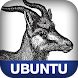Ubuntu: Up and Running
