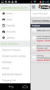 GoDaddy - screenshot thumbnail