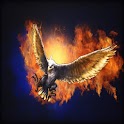 Eagle Live Wallpaper