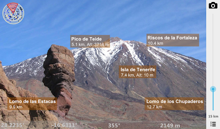 In Sight - The Canaries poster 1