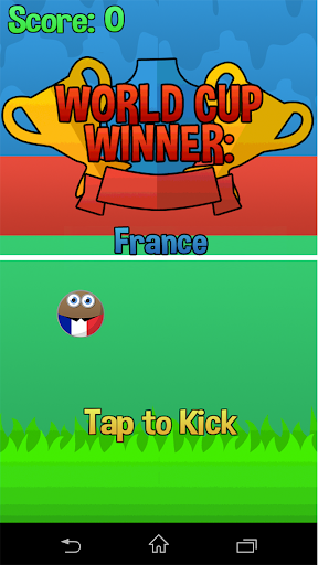 Flappy Cup Winner France