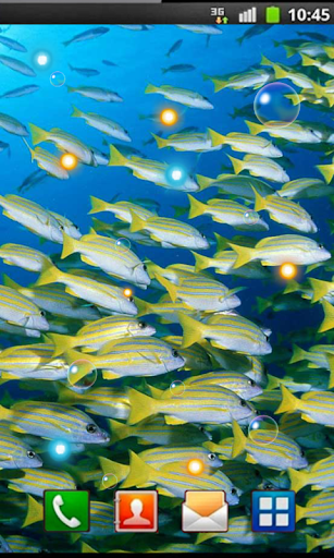 Lagoon Fishes live wallpaper