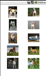 perros.todas races and photos poster 3