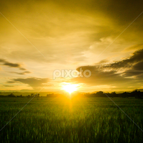 sunset in the morning.. by Andy Alexandy - Landscapes Sunsets & Sunrises