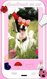 Camera Lovely Plus poster 1