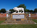 Lions Field