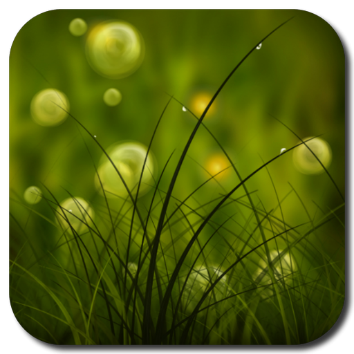Colorful Summer Meadow Free 個人化 App LOGO-APP開箱王